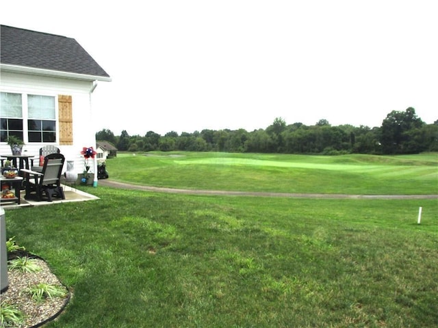 view of yard featuring a patio