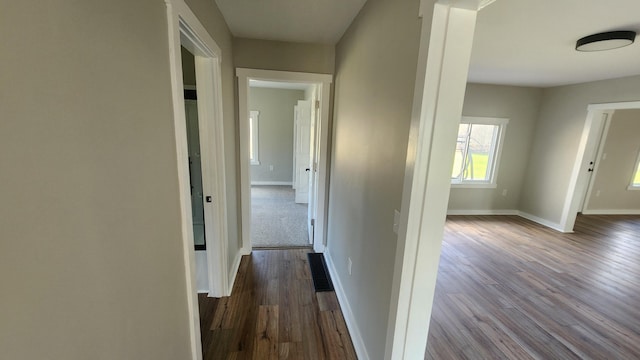 corridor featuring dark wood-type flooring