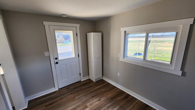 doorway featuring a wealth of natural light and dark hardwood / wood-style floors