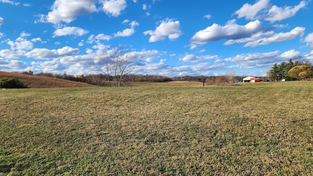 view of yard featuring a rural view