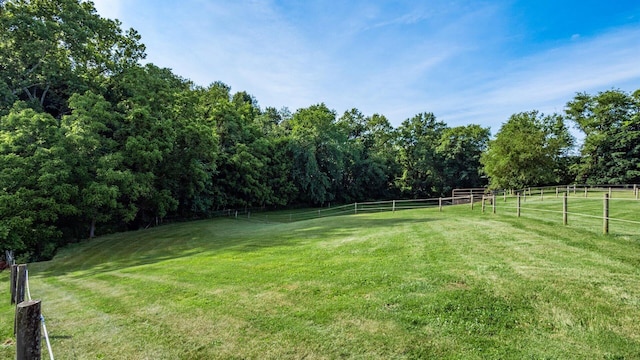 view of yard with a rural view