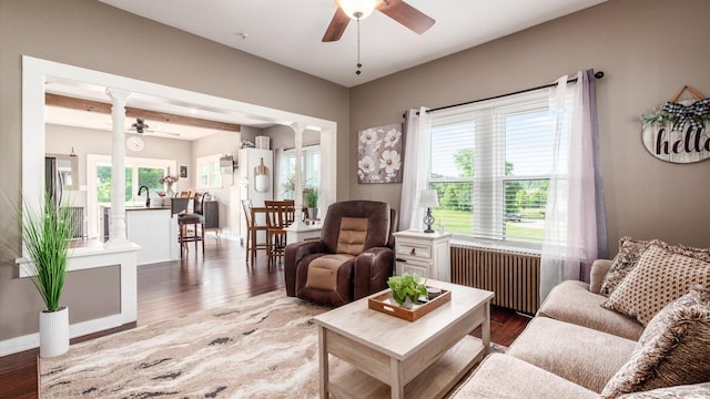 living room featuring wood-type flooring, radiator heating unit, a wealth of natural light, and ornate columns