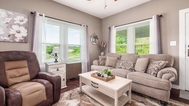 living room featuring dark hardwood / wood-style flooring, ceiling fan, and radiator heating unit