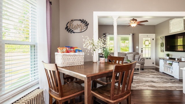 dining room with ornate columns, a wealth of natural light, radiator heating unit, and dark wood-type flooring