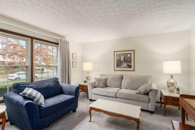 carpeted living room with a textured ceiling