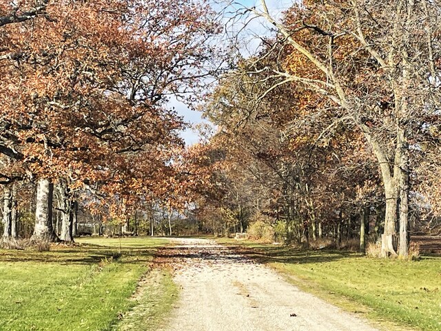 15760 Watkins Rd, Marysville, OH 43040 - photo 4