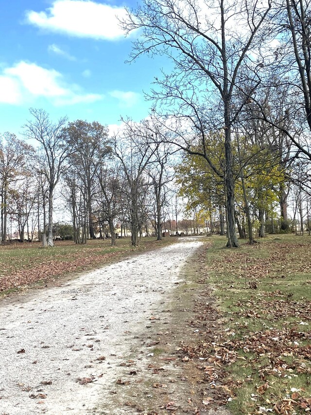 15760 Watkins Rd, Marysville, OH 43040 - photo 5