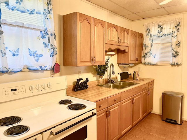 kitchen featuring a drop ceiling, sink, white electric range oven, and light wood-type flooring