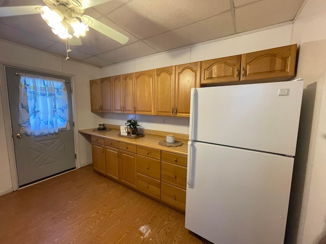 kitchen featuring ceiling fan, a drop ceiling, light wood-type flooring, and white refrigerator