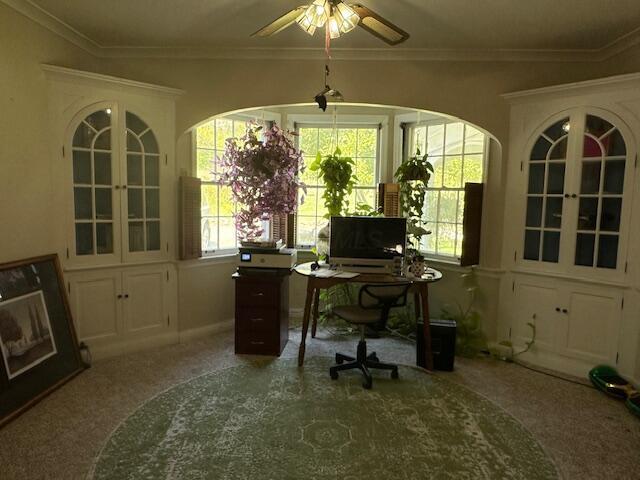 home office with carpet flooring, plenty of natural light, and ornamental molding