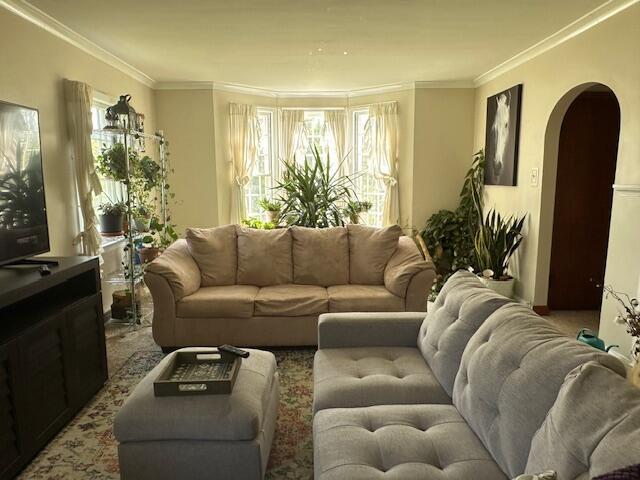 living room with crown molding and a wealth of natural light