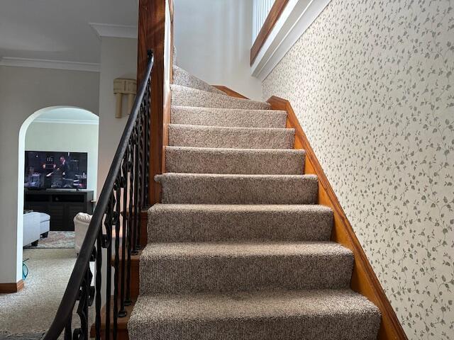 staircase featuring carpet floors and ornamental molding