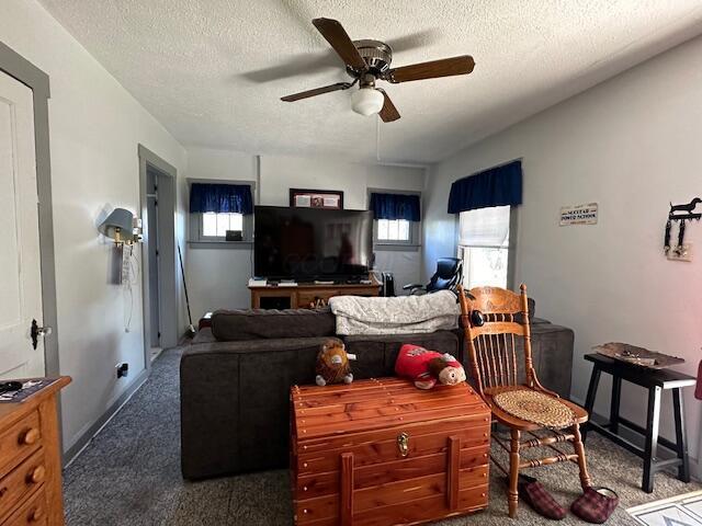 living room with ceiling fan, carpet floors, and a textured ceiling