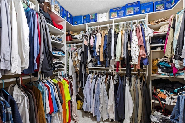 walk in closet with carpet flooring