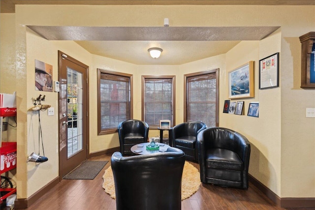 living area featuring dark wood-type flooring