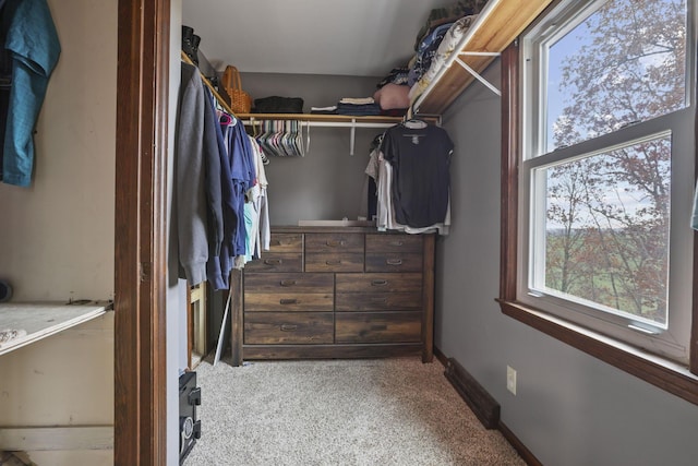 walk in closet featuring carpet floors