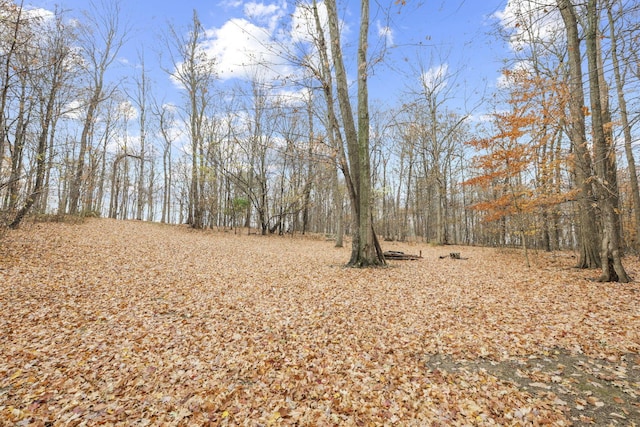 view of nature