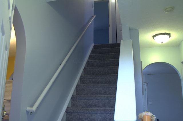 staircase featuring carpet floors