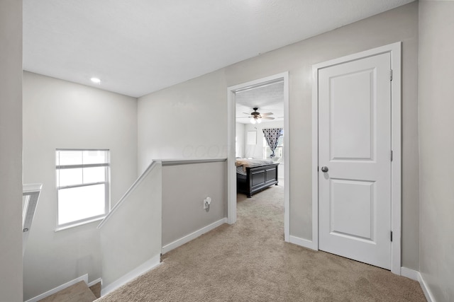 hallway with a wealth of natural light and light carpet