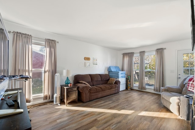 living room featuring light hardwood / wood-style floors and a wealth of natural light