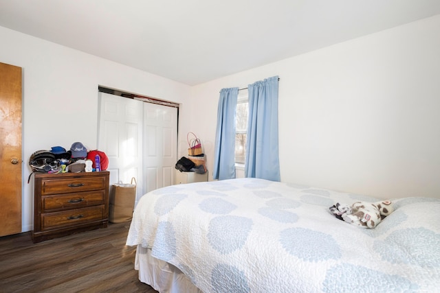 bedroom featuring dark hardwood / wood-style flooring and a closet