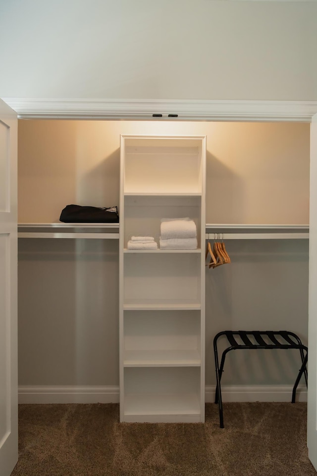 spacious closet featuring carpet flooring