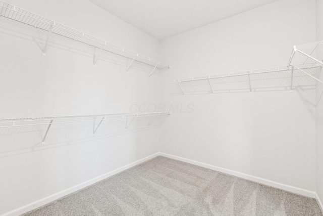 800 Heritage Blvd, Delaware, OH 43015 - spacious closet featuring carpet floors