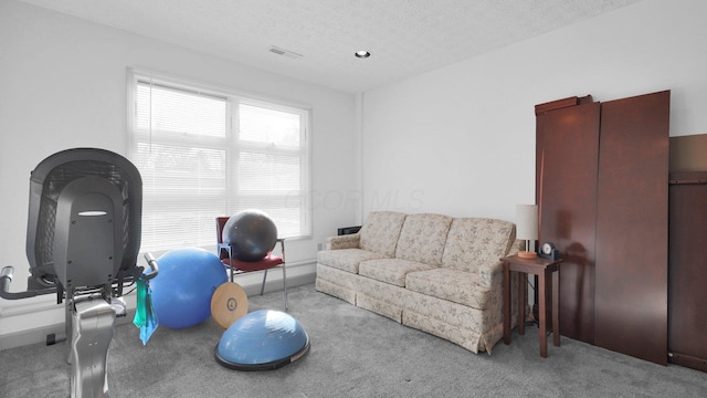 carpeted living room with a textured ceiling