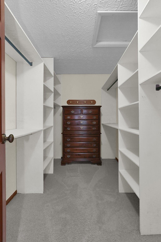spacious closet featuring carpet and attic access