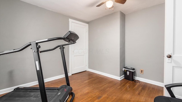 exercise room with dark hardwood / wood-style flooring and ceiling fan