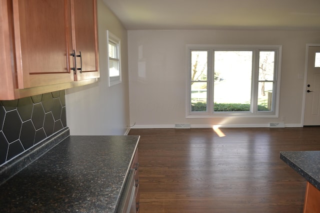 entryway featuring plenty of natural light and dark hardwood / wood-style flooring