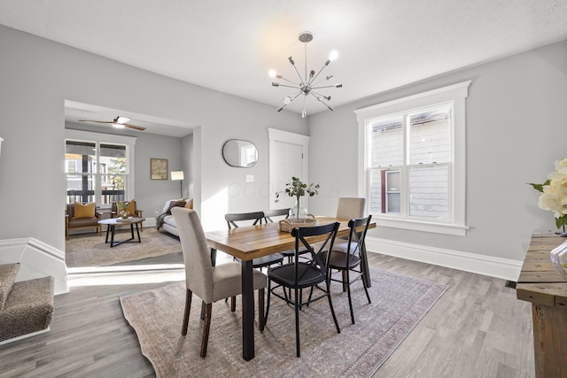 dining room featuring ceiling fan with notable chandelier and hardwood / wood-style flooring