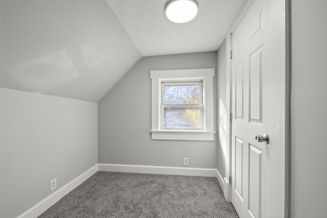 additional living space featuring carpet flooring, a textured ceiling, and lofted ceiling