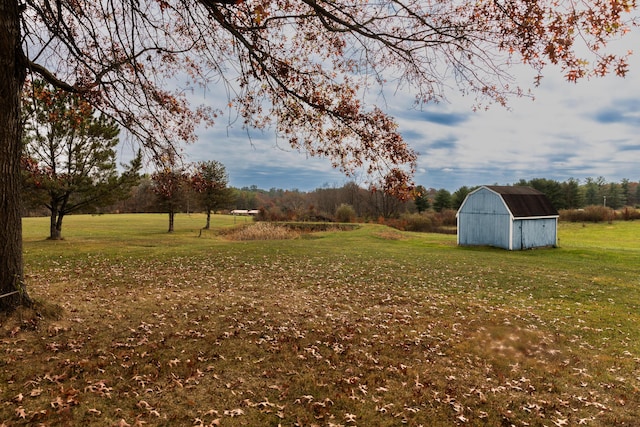 view of yard with a storage shed