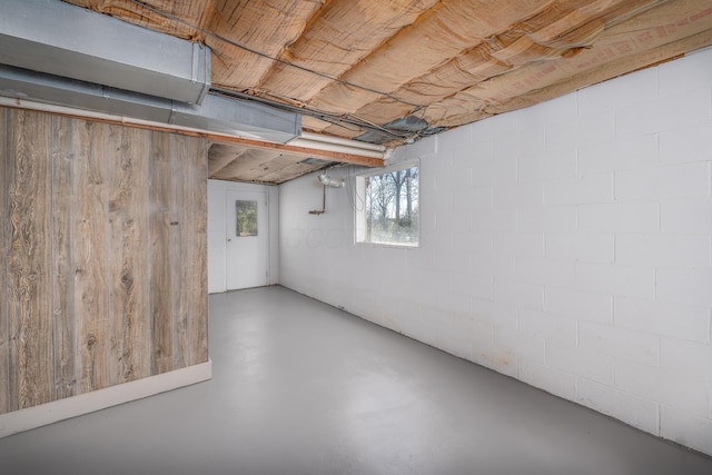 basement with wood walls