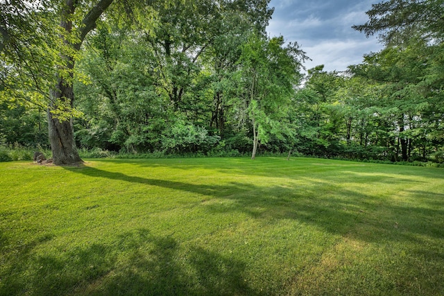 17762 Coshocton Rd, Mount Vernon, OH 43050 - photo 22