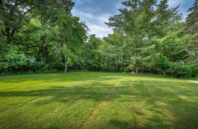 17762 Coshocton Rd, Mount Vernon, OH 43050 - photo 23