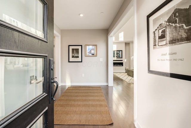 foyer with wood-type flooring