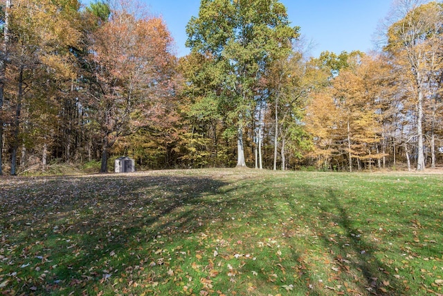 view of yard featuring a shed