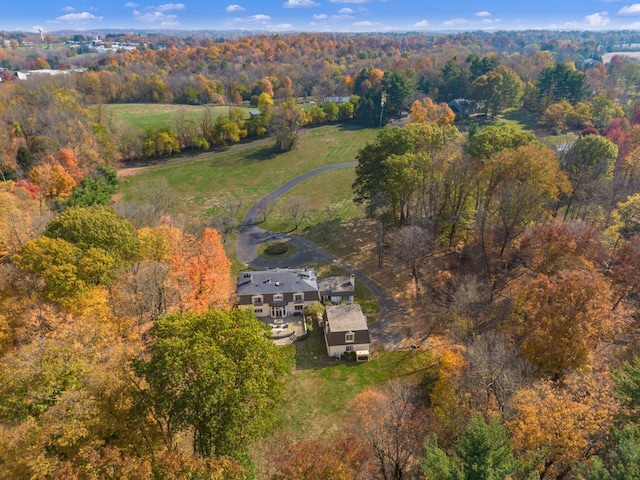 bird's eye view