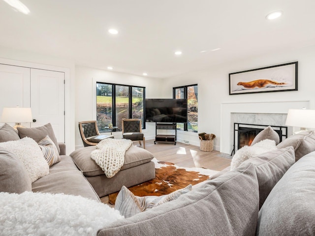 living room featuring a fireplace and light hardwood / wood-style flooring