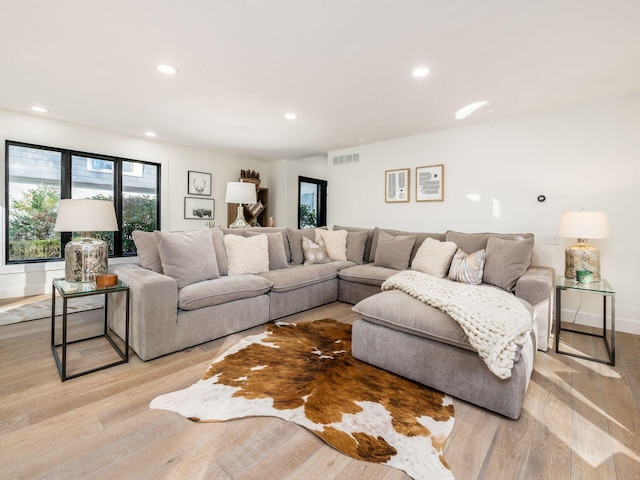 living room featuring light hardwood / wood-style flooring