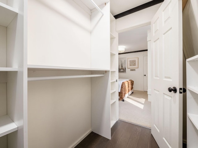 spacious closet featuring dark wood-type flooring