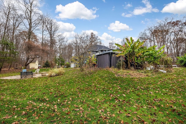 view of yard with a patio and a storage shed