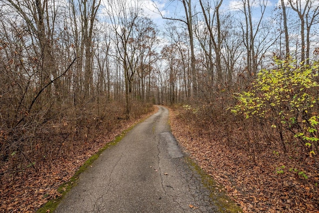 view of road