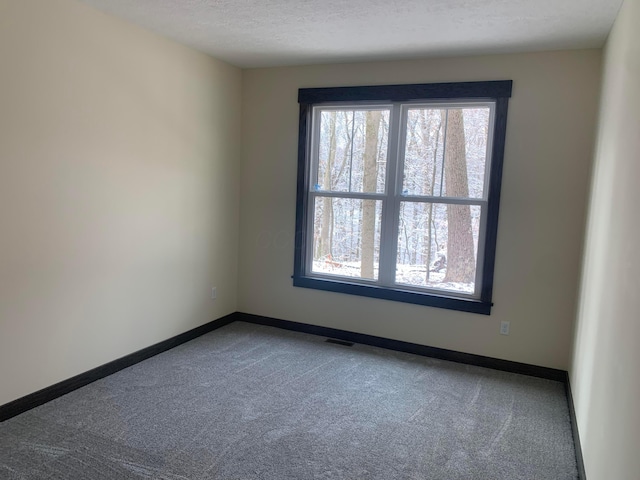 unfurnished room featuring a healthy amount of sunlight, carpet floors, and a textured ceiling