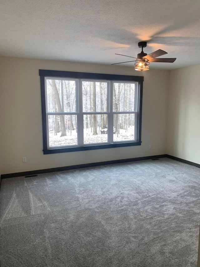 empty room with carpet floors, a healthy amount of sunlight, and a textured ceiling