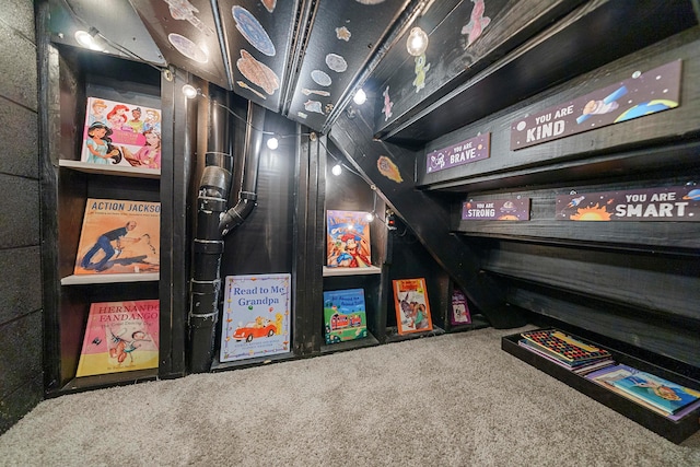 recreation room featuring carpet flooring