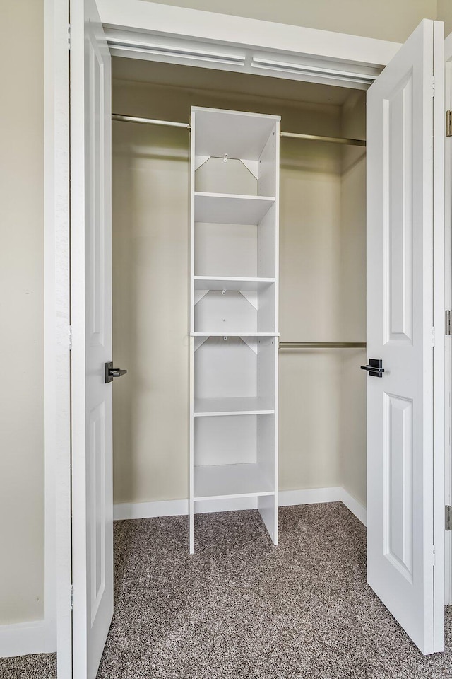 view of closet