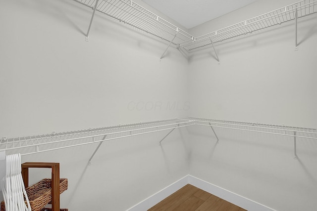 110 Cumberland Meadows Cir, Hebron, OH 43025 - spacious closet with dark wood-style flooring